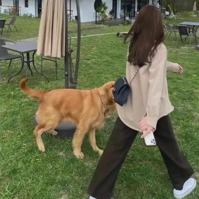 失乐园3：炼狱